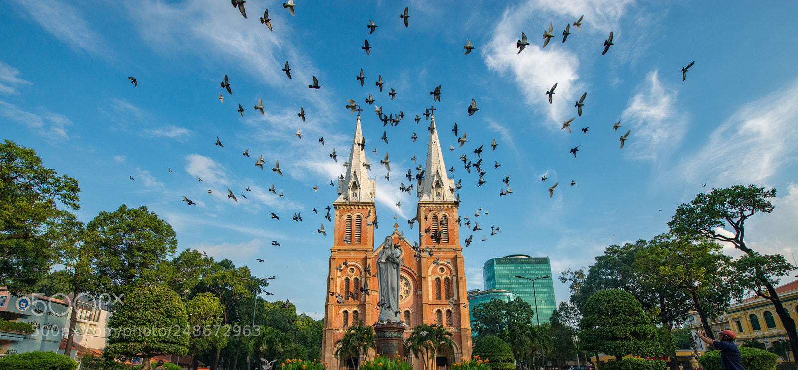 Nikon D800E sample photo. Notre-dame cathedral basilica of photography