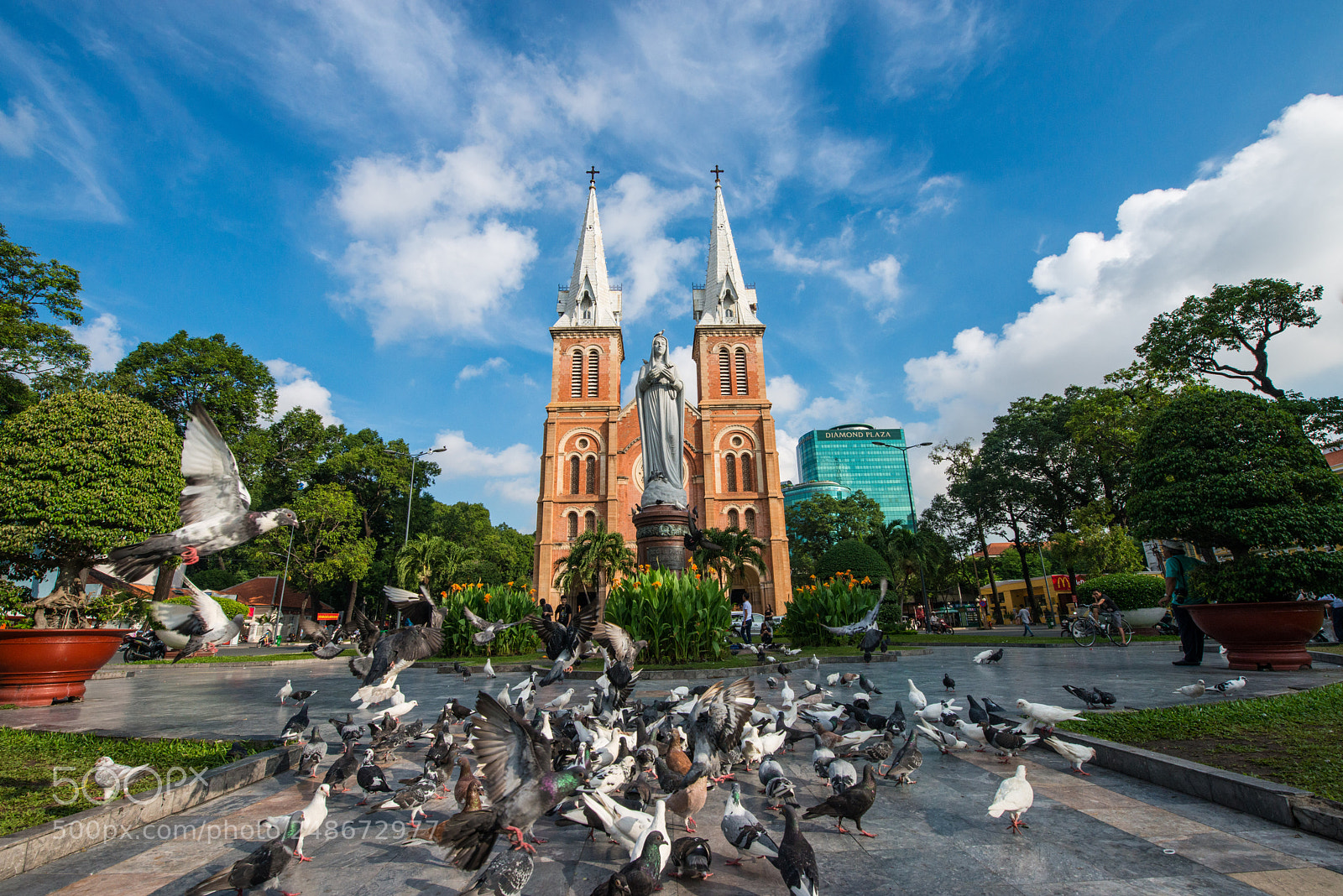 Nikon D800E sample photo. Notre-dame cathedral basilica of photography