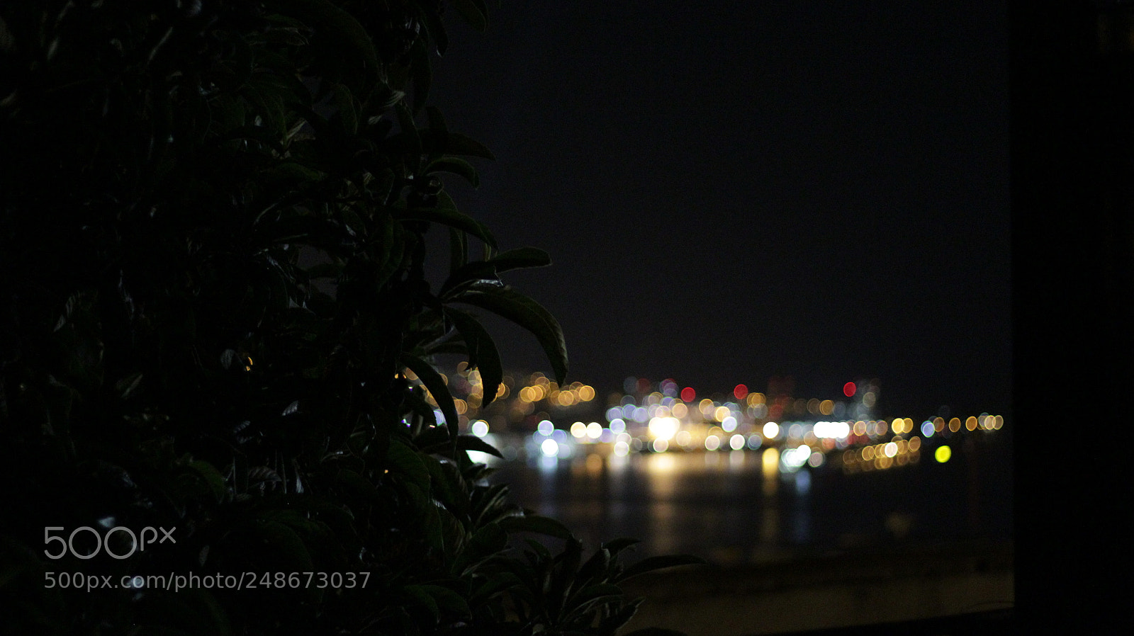 Canon EOS 1200D (EOS Rebel T5 / EOS Kiss X70 / EOS Hi) sample photo. Nispero photography