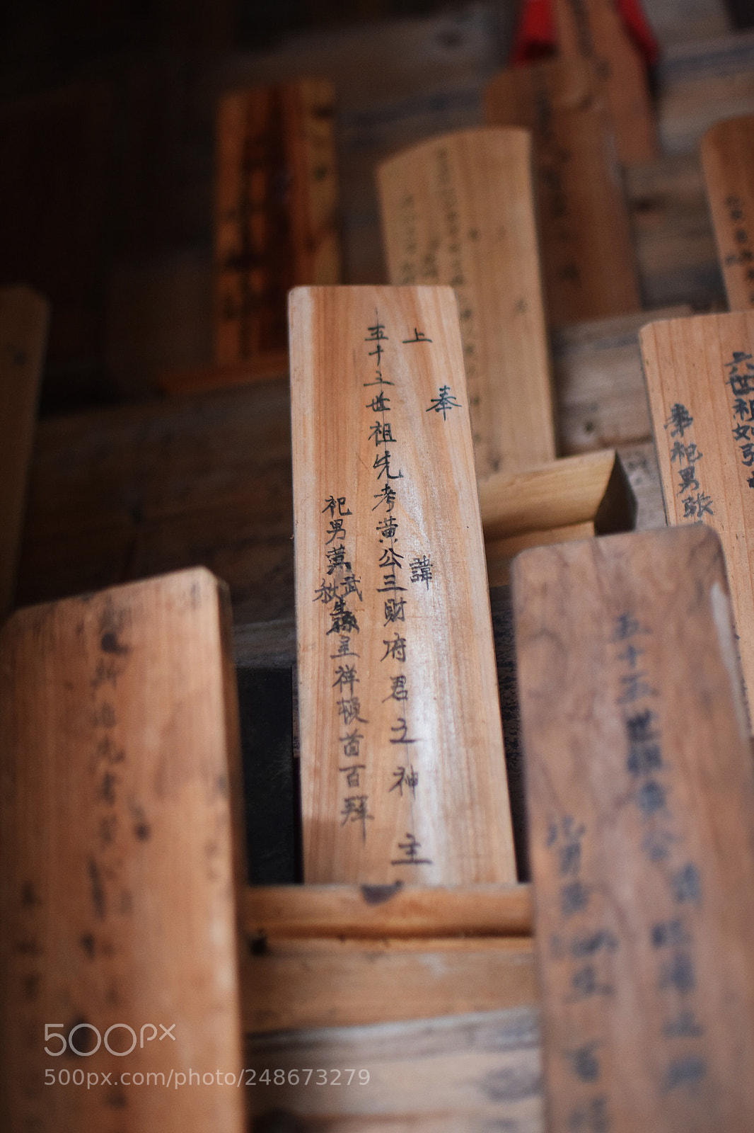 Nikon D5300 sample photo. 宗祠 photography