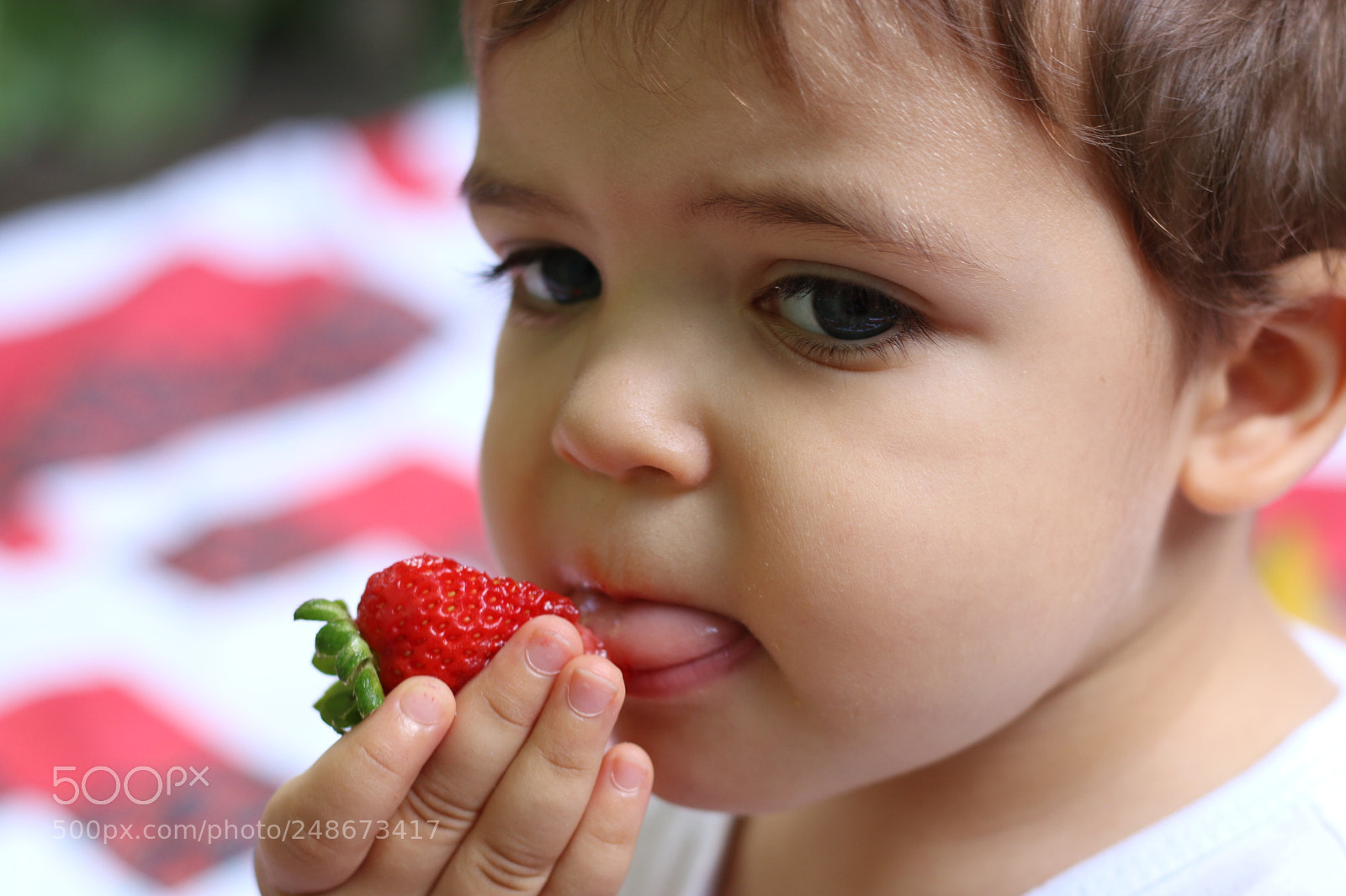 Canon EOS 70D + Canon EF 50mm F1.8 STM sample photo. Untitled photography