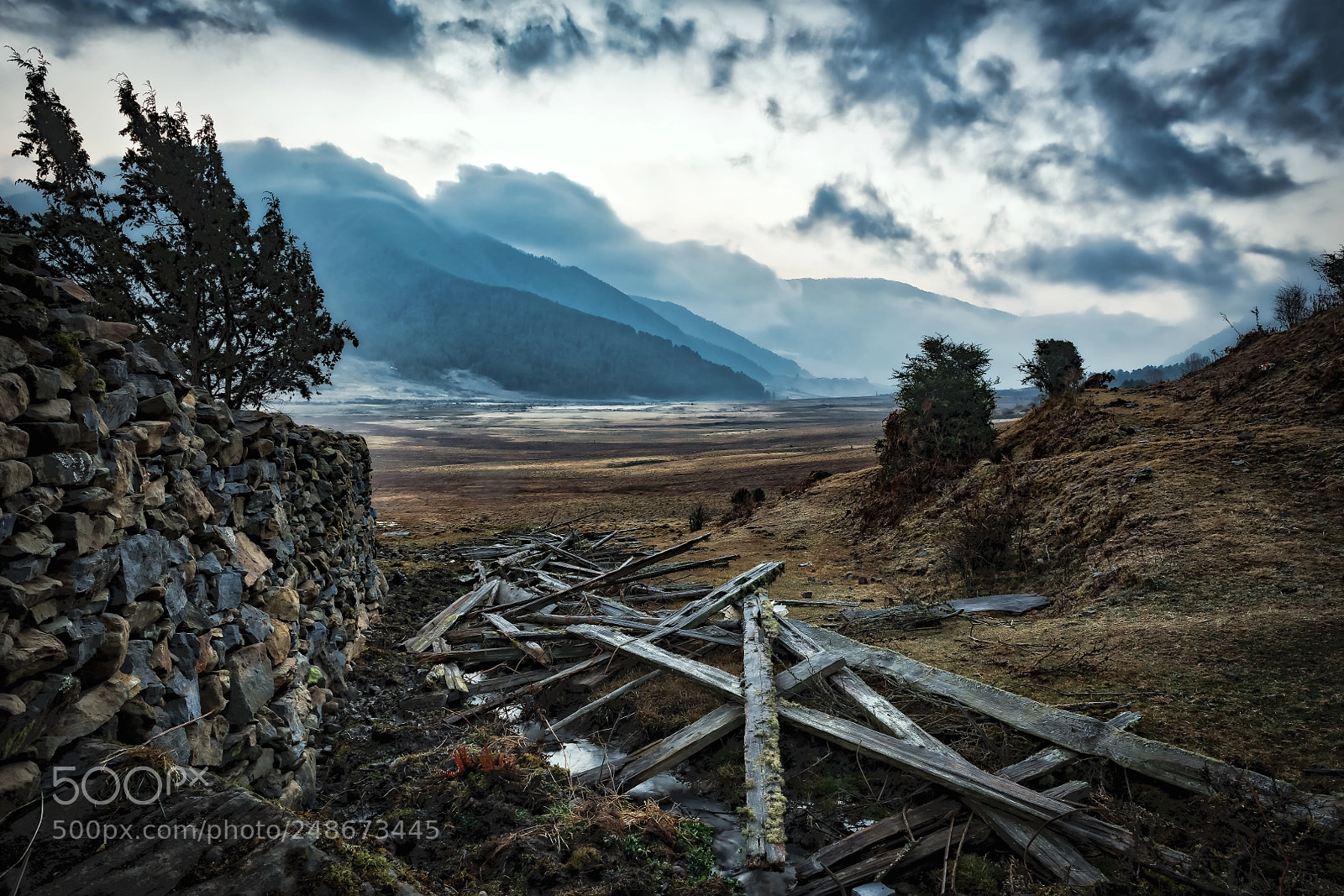 Nikon D850 sample photo. Moody dawn over gangtey photography