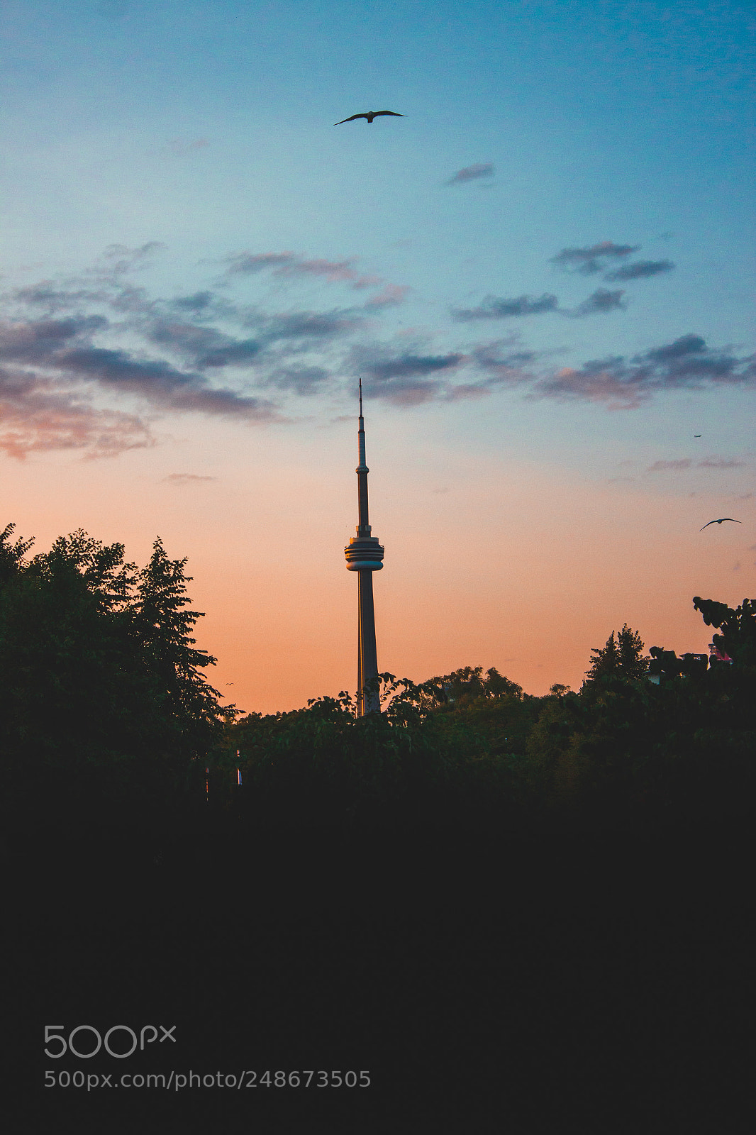 Canon EOS 600D (Rebel EOS T3i / EOS Kiss X5) sample photo. Toronto islands photography