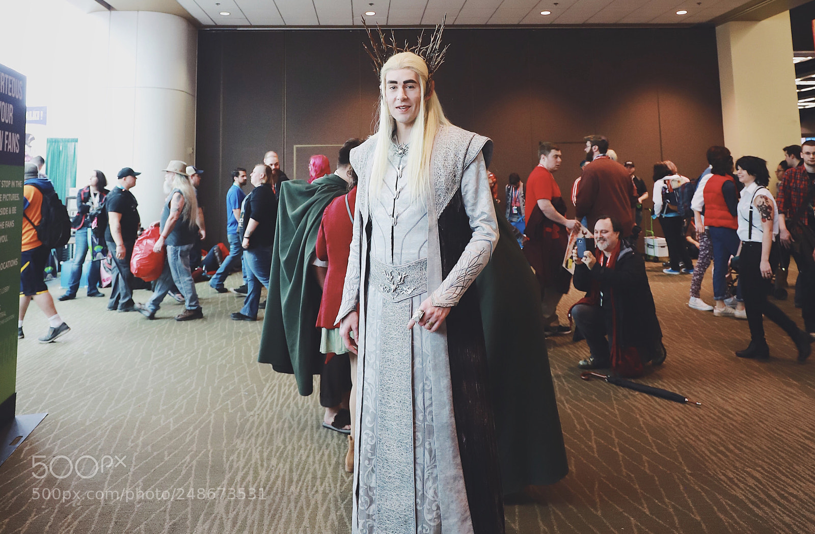 Canon EOS 6D Mark II sample photo. Thranduil cosplay (eccc) photography