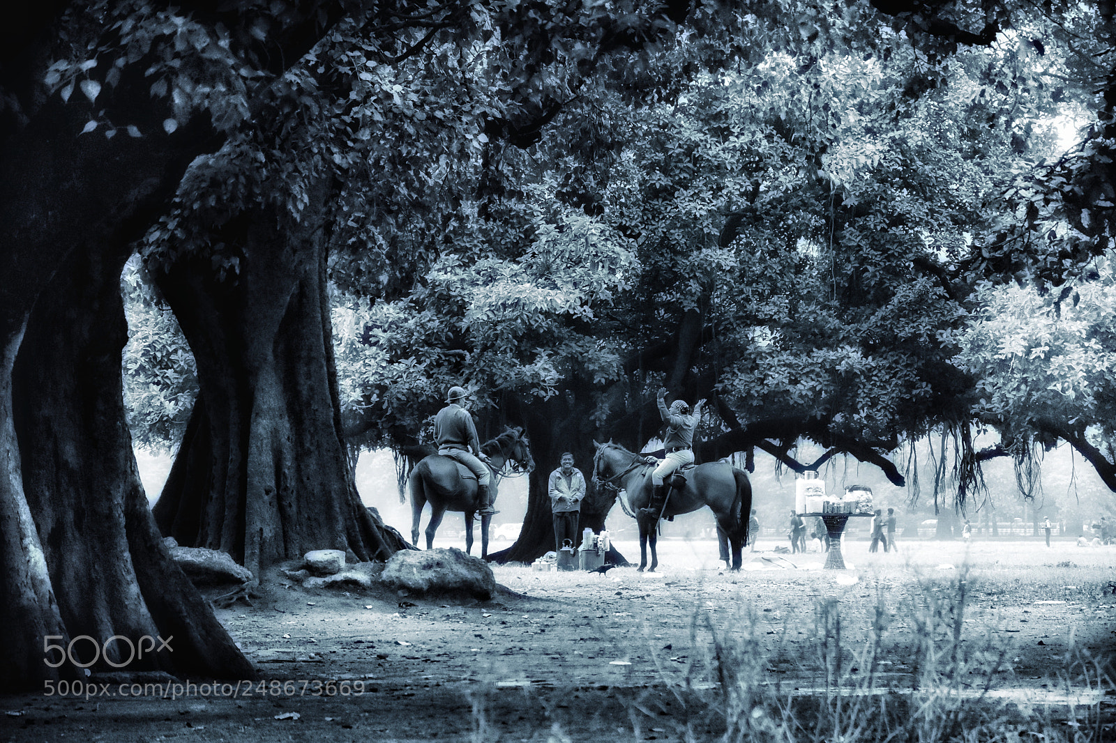 Nikon D7200 sample photo. Untitled photography