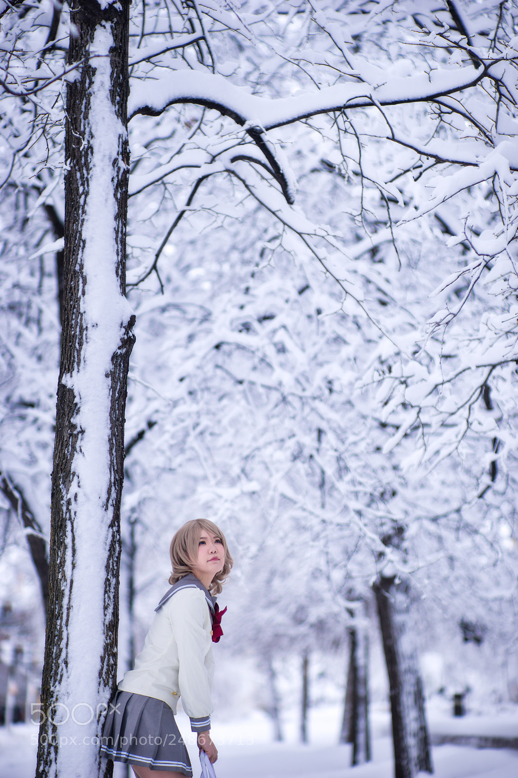 Sony a7 sample photo. After snowstorm photography