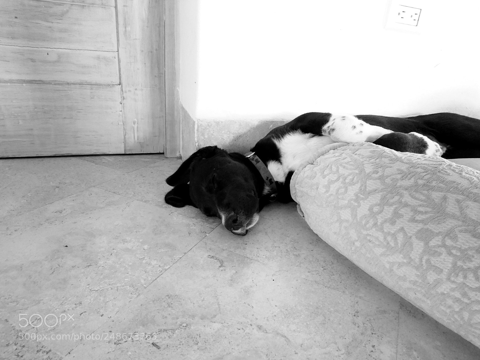 Sony Xperia Z5 sample photo. "exhausted..." photography