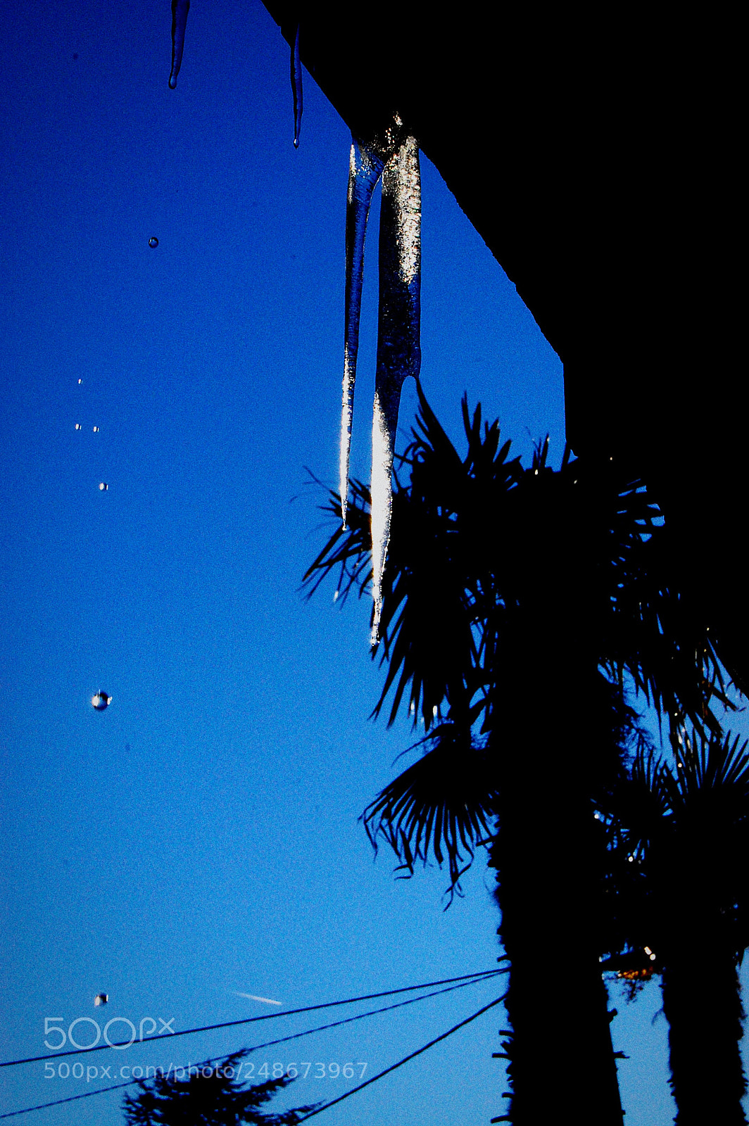 Nikon D40 sample photo. Untitled photography