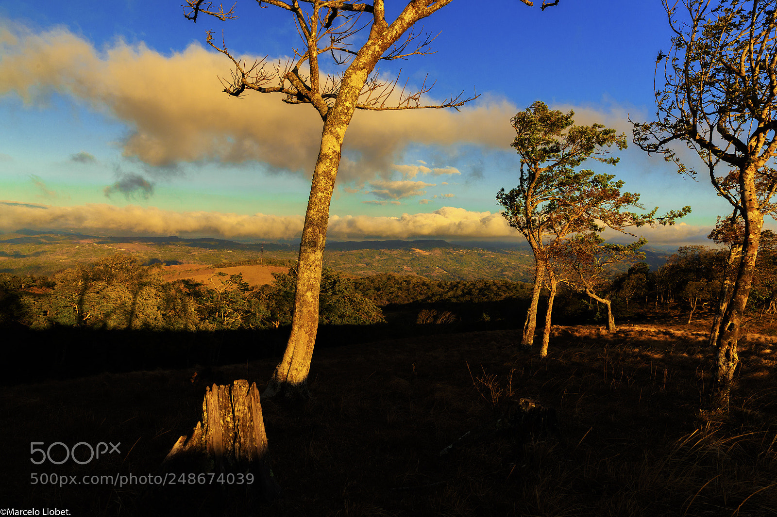 Canon EOS-1D X Mark II sample photo. Libertad pura -l1i0354 photography