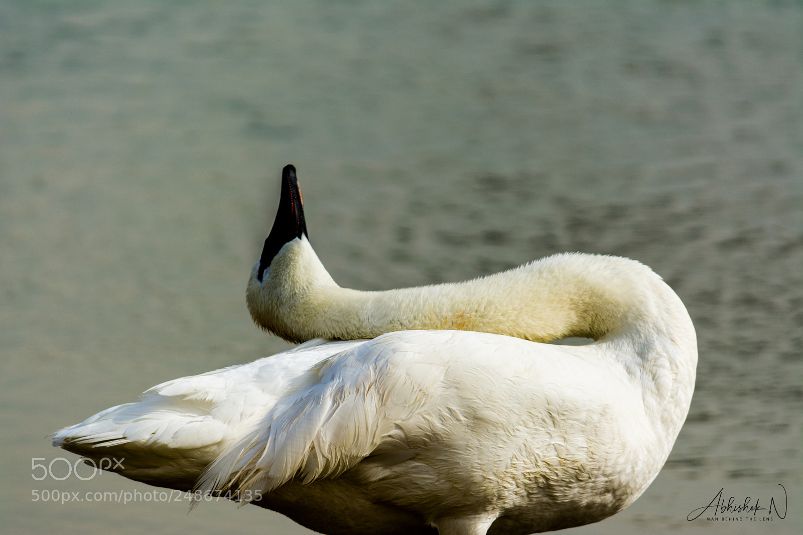 Nikon D5200 sample photo. Thank you god photography