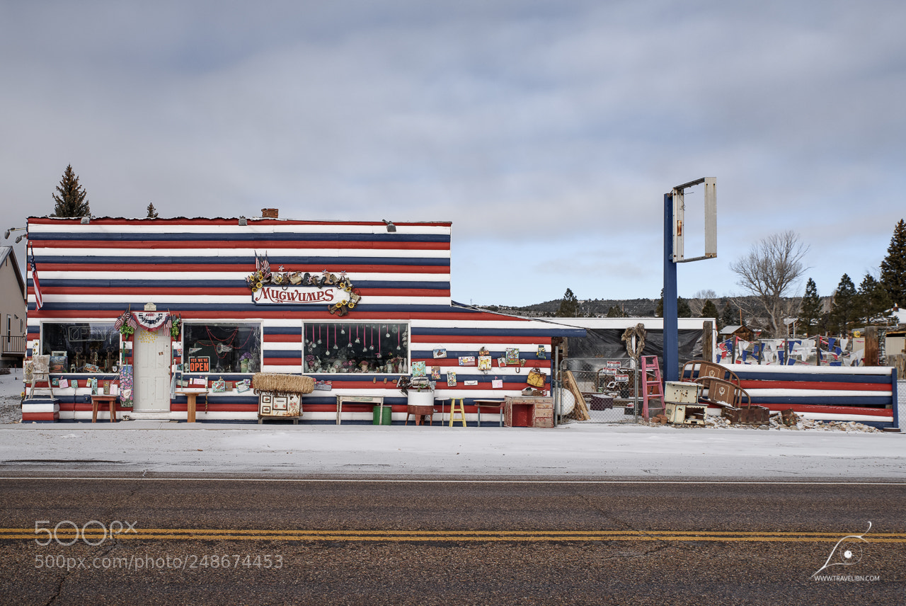 Nikon D810 sample photo. Mugwumps antiques in hatch photography