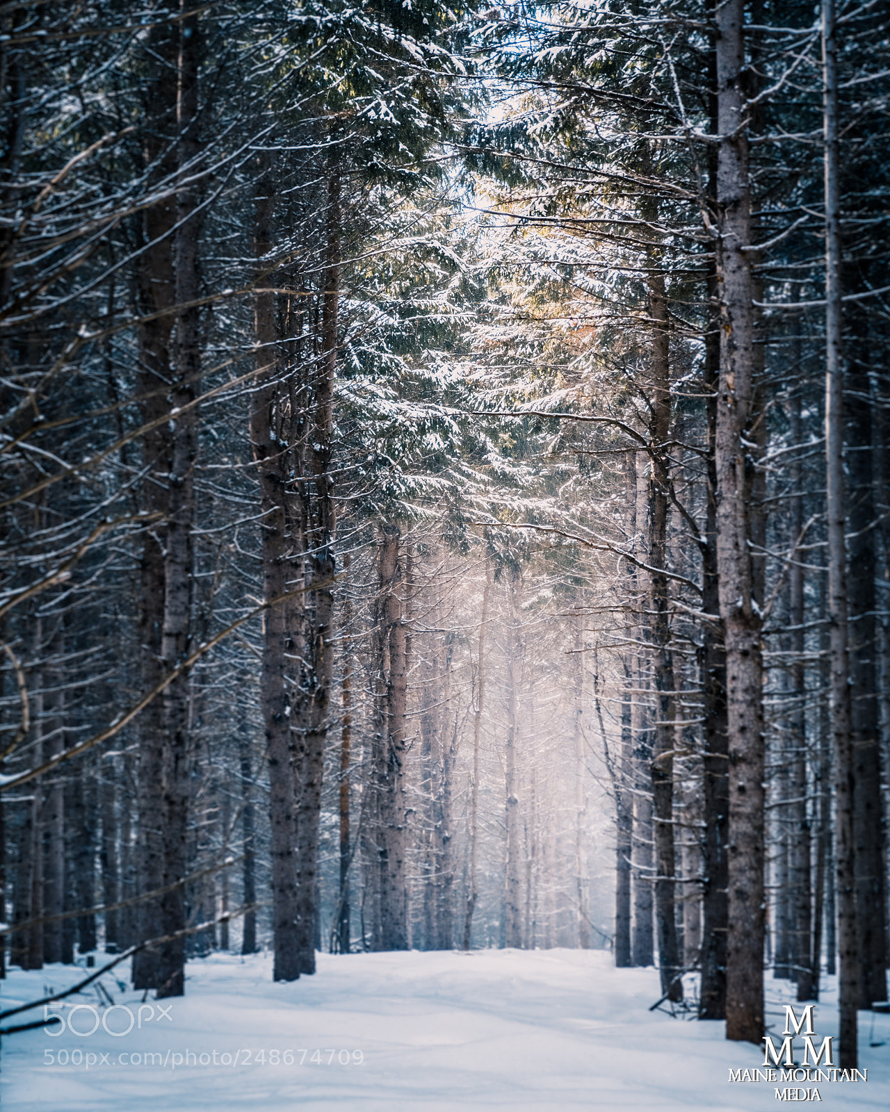 Canon PowerShot G5 X sample photo. Winter serenity photography