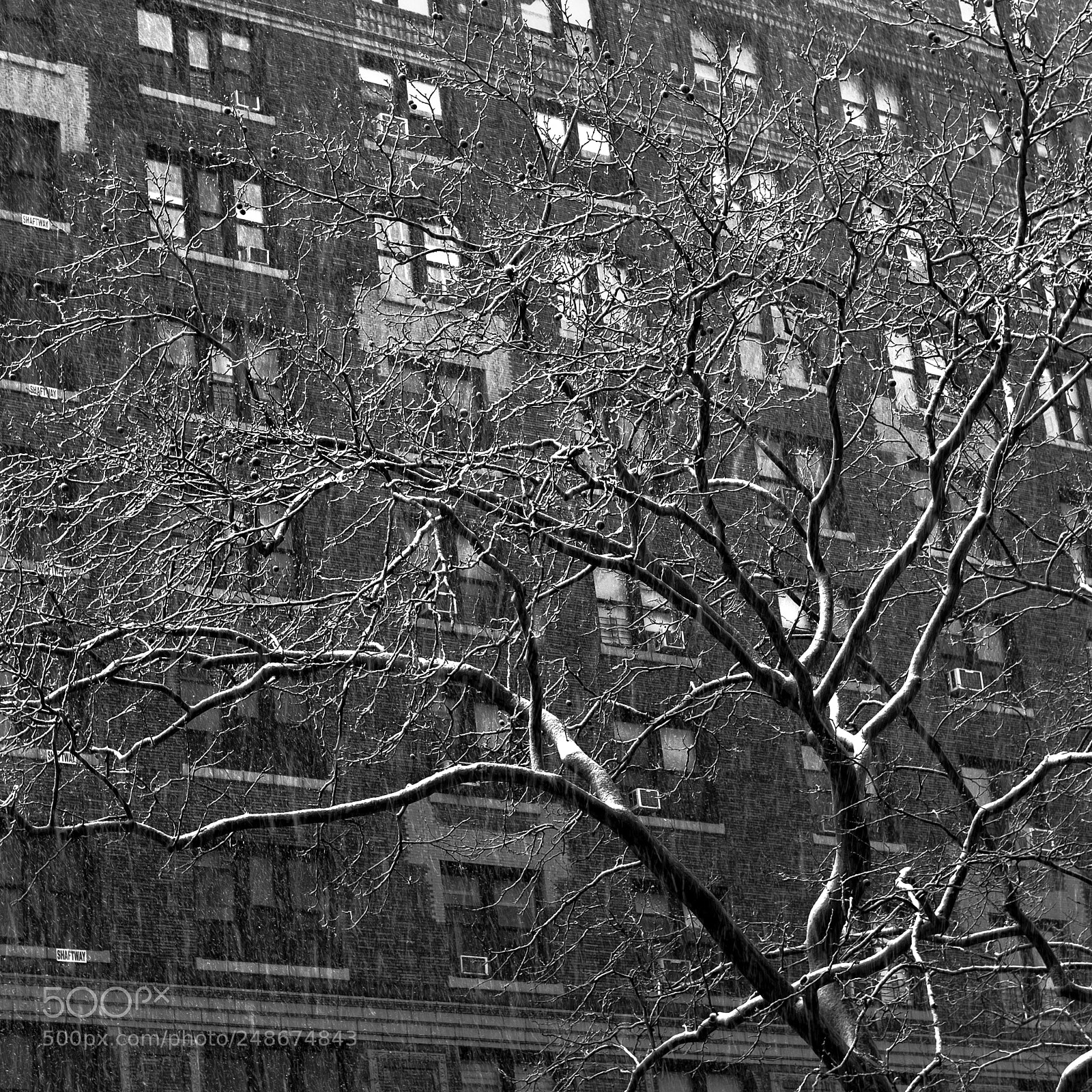 Fujifilm X-Pro2 sample photo. Nyc snow strorm photography