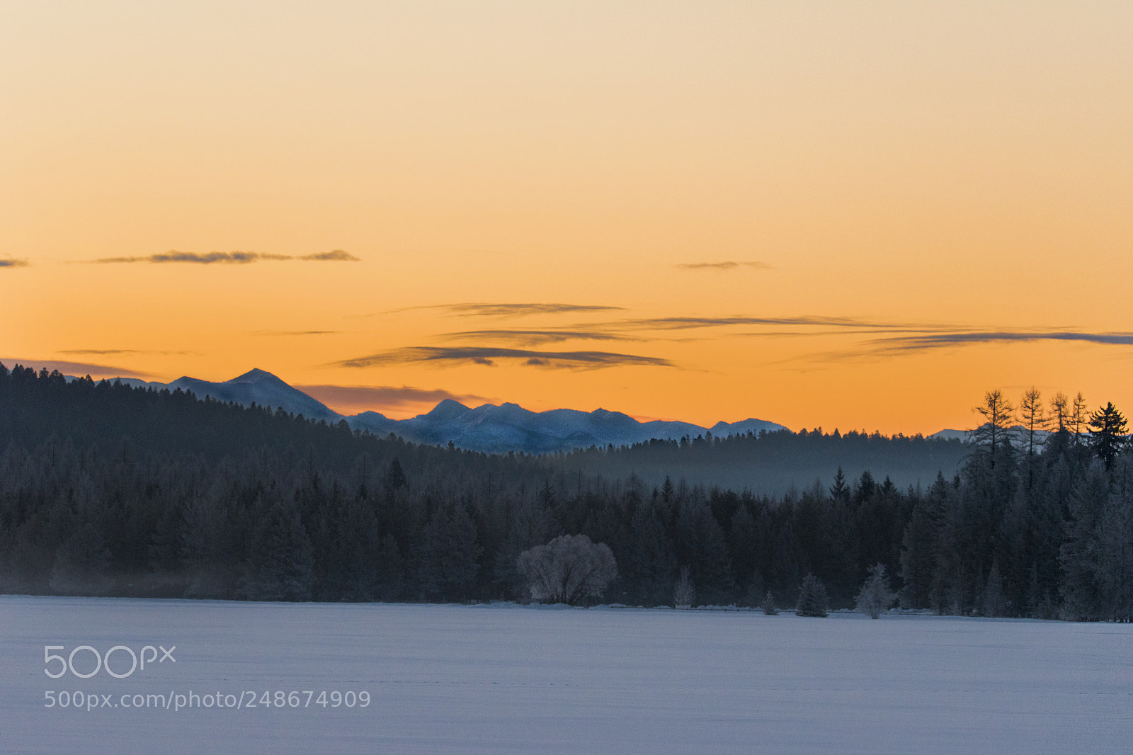 Nikon D5600 sample photo. Montana sunrise photography