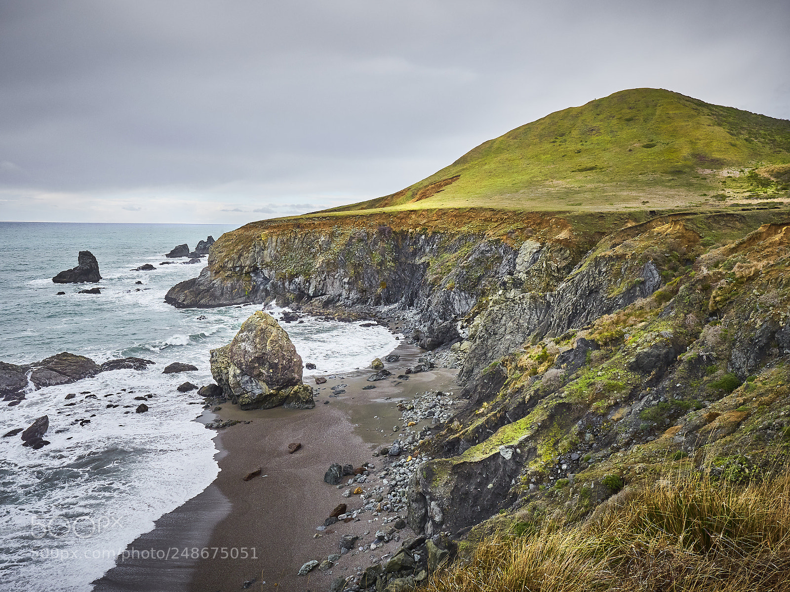Panasonic Lumix DC-GH5 sample photo. Sonoma coast near goat photography