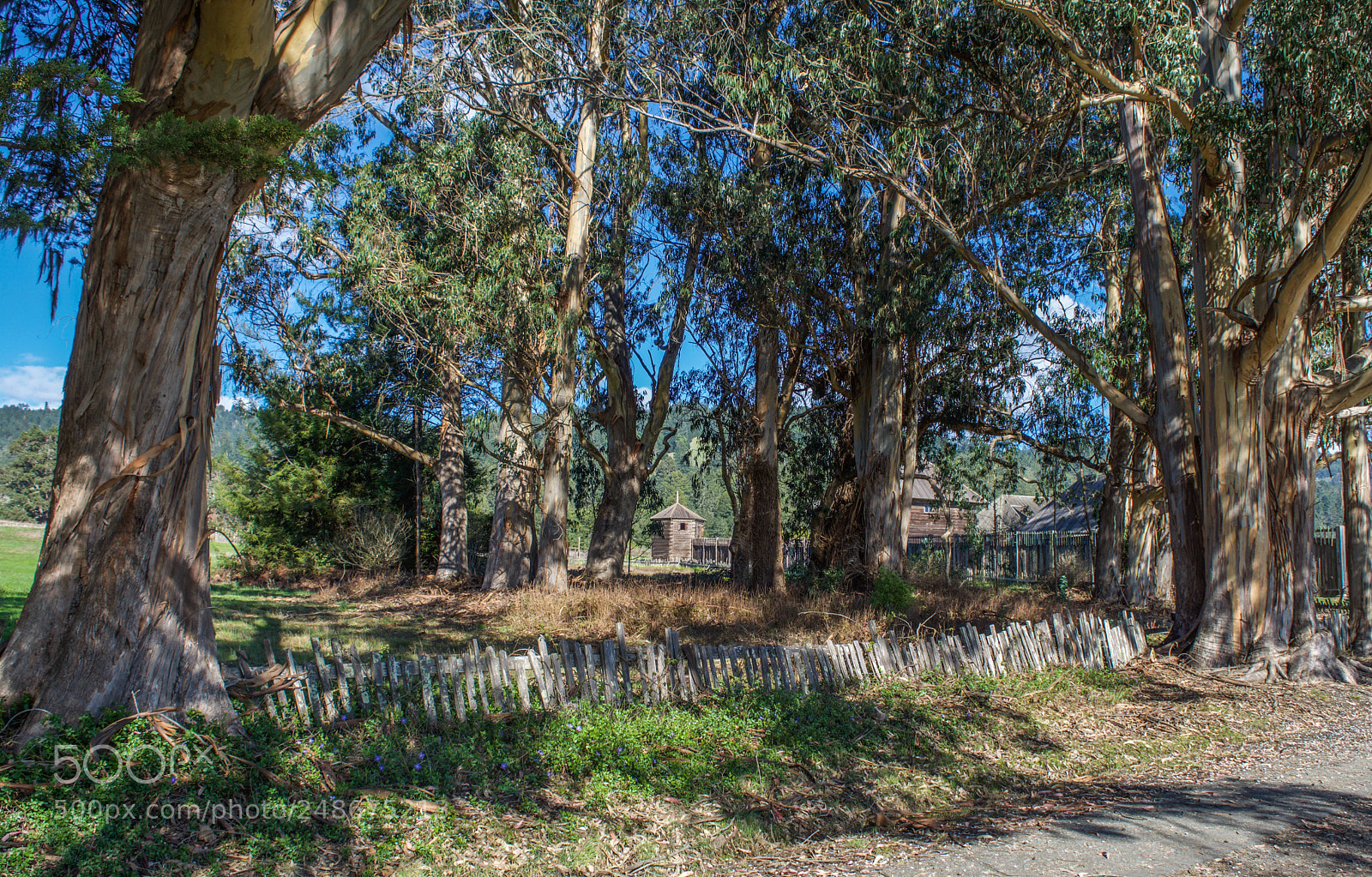 Nikon D7200 sample photo. Fort ross state historical photography