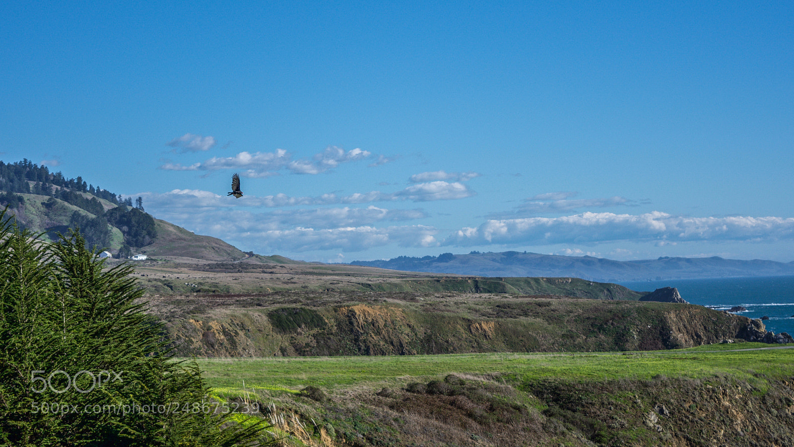 Nikon D7200 sample photo. Fort ross state historical photography