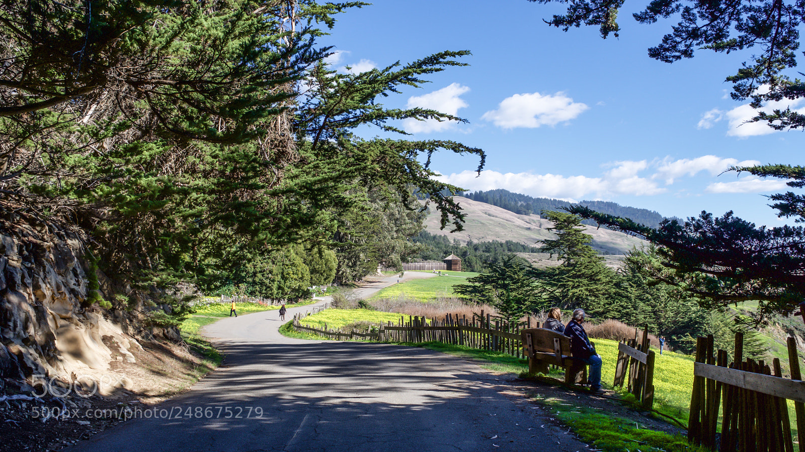 Nikon D7200 sample photo. Fort ross state historical photography