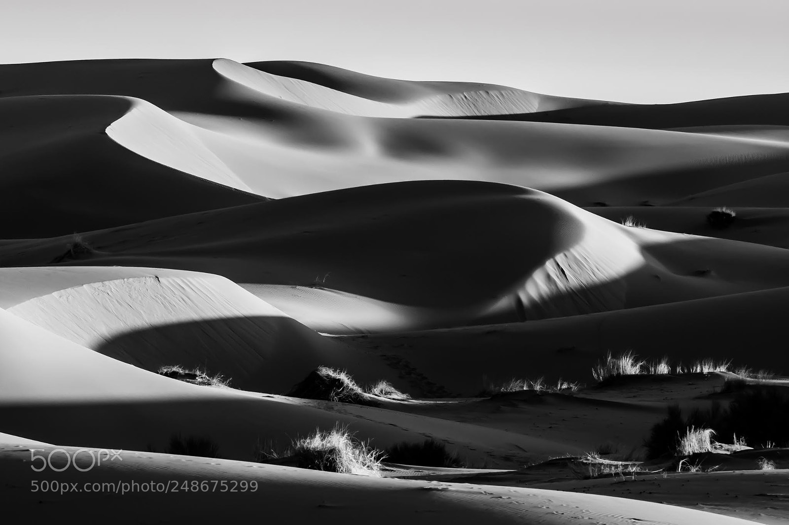 Olympus OM-D E-M1 Mark II sample photo. Dunes photography