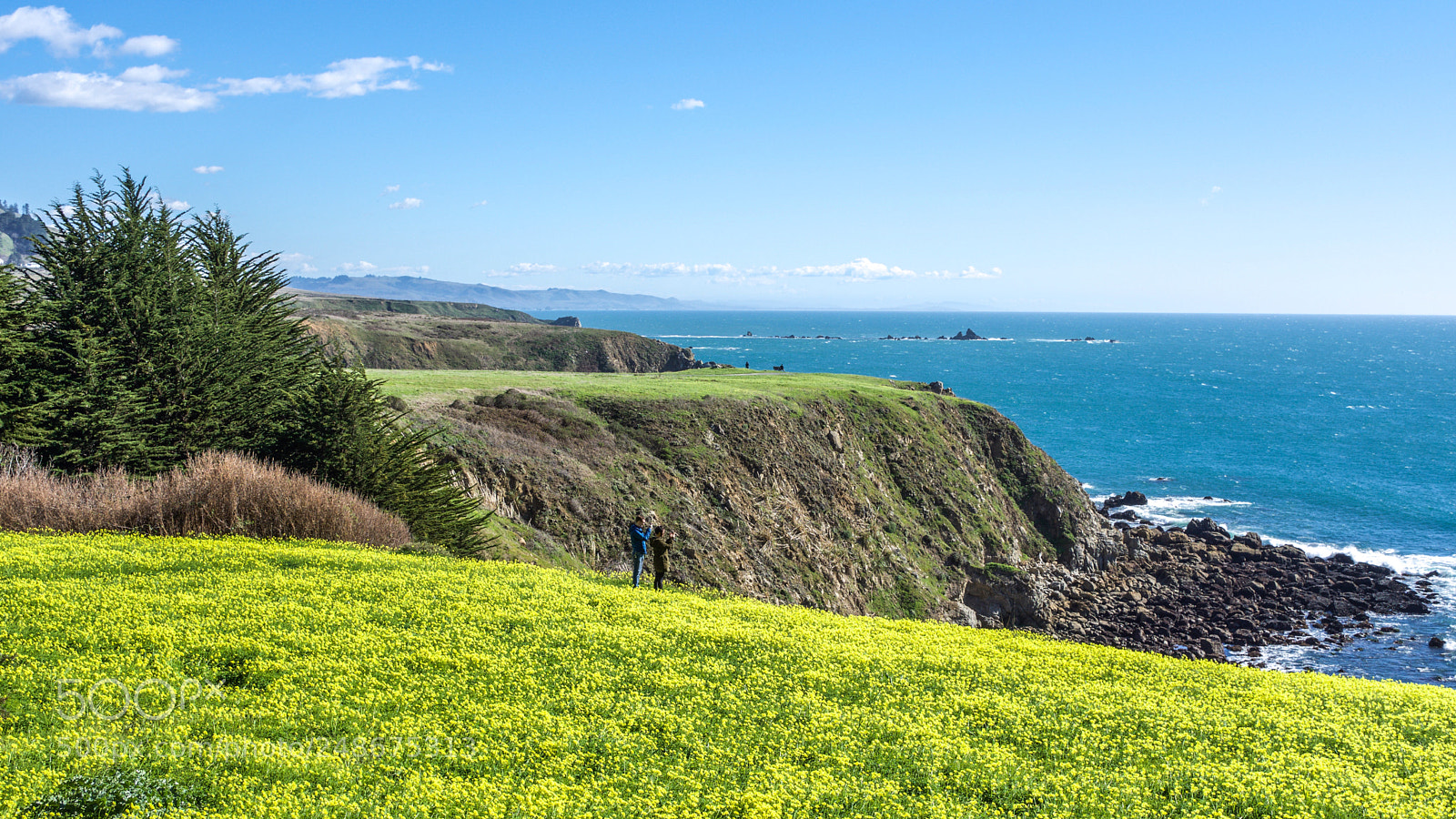 Nikon D7200 sample photo. Fort ross state historical photography
