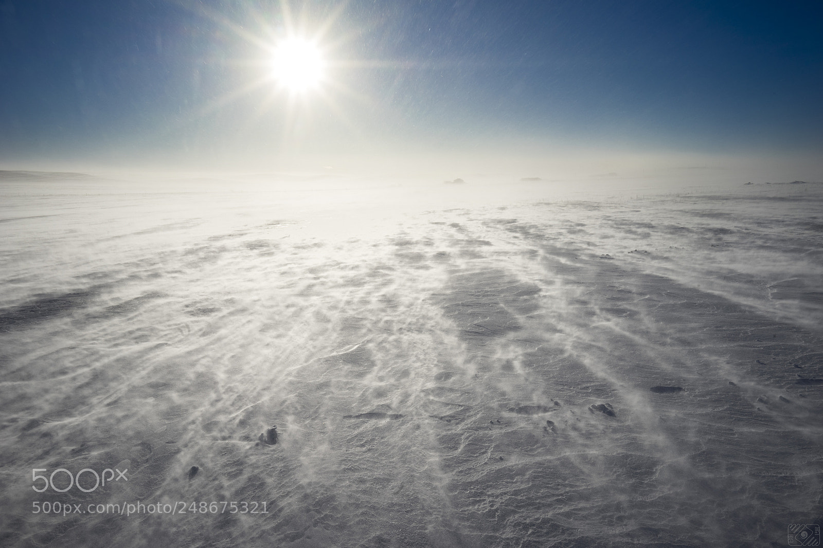 Sony a7 II sample photo. Life in the cold photography