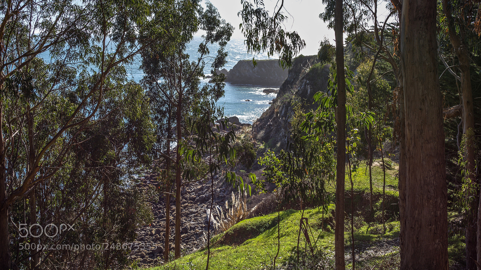 Nikon D7200 sample photo. Fort ross state historical photography
