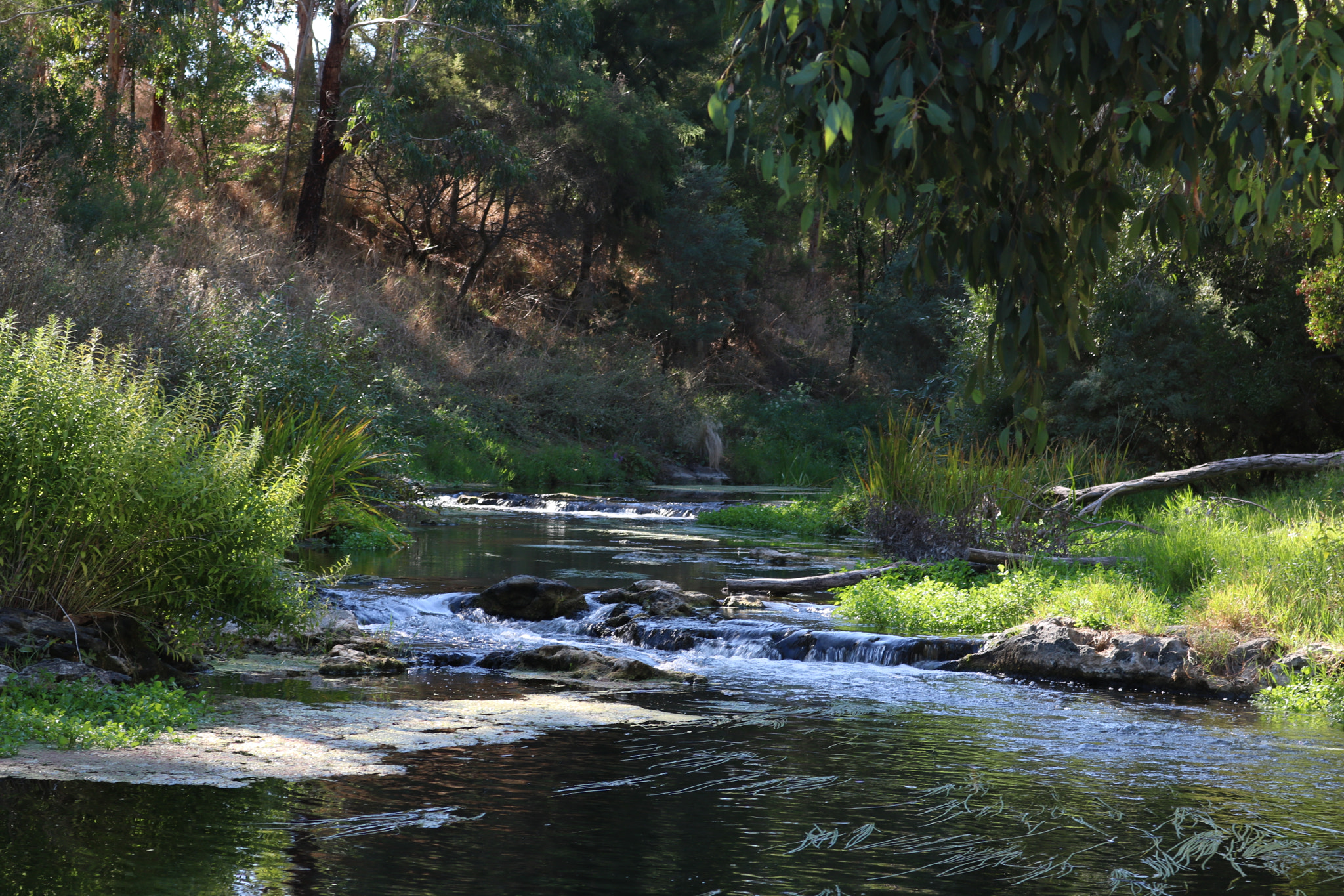 Canon EOS 760D (EOS Rebel T6s / EOS 8000D) sample photo. Merri river photography