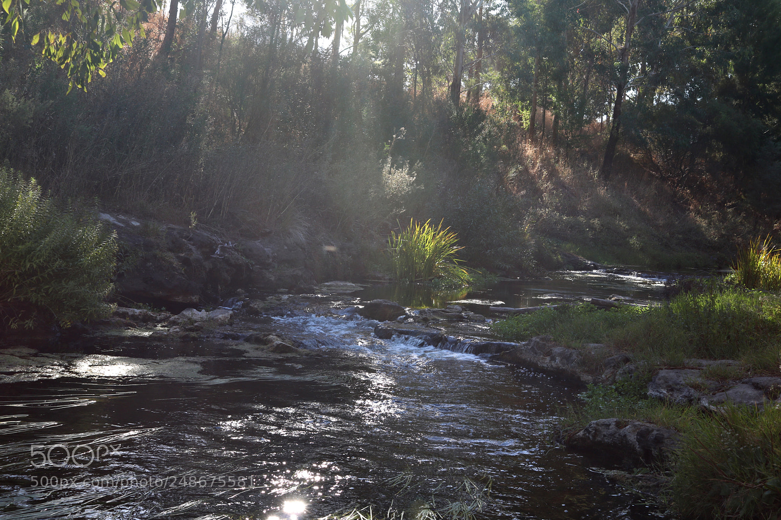 Canon EOS 760D (EOS Rebel T6s / EOS 8000D) sample photo. Merri river photography