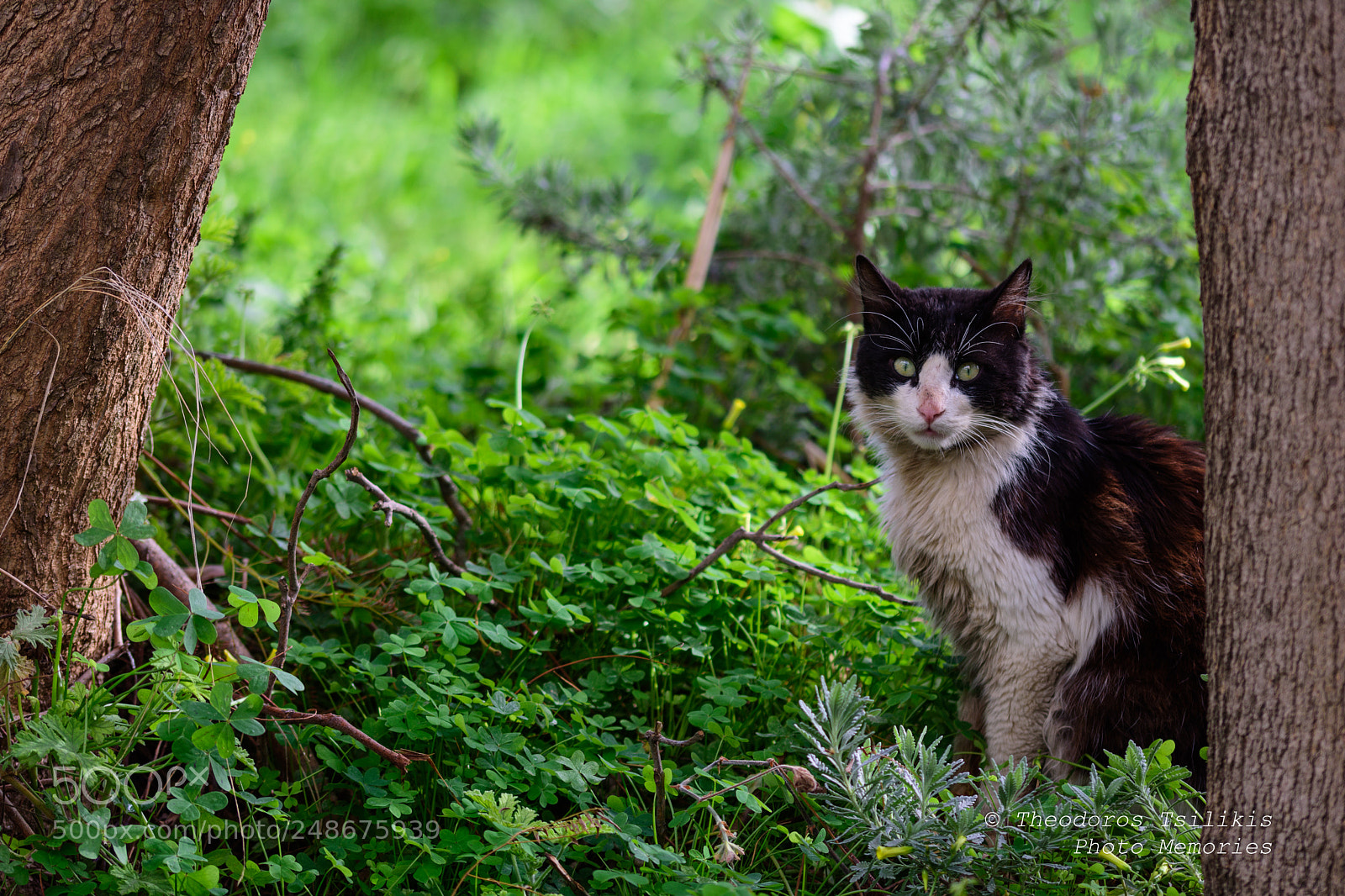 Nikon D7200 sample photo. Who's there photography