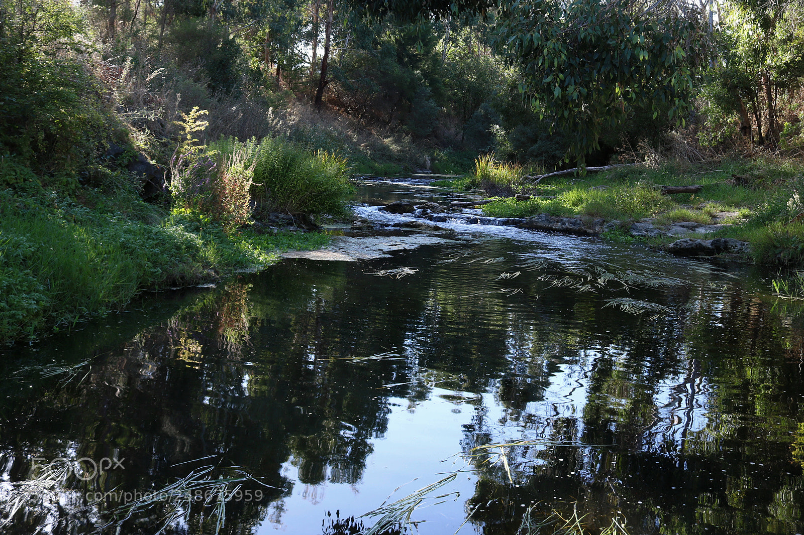 Canon EOS 760D (EOS Rebel T6s / EOS 8000D) sample photo. Merri river photography