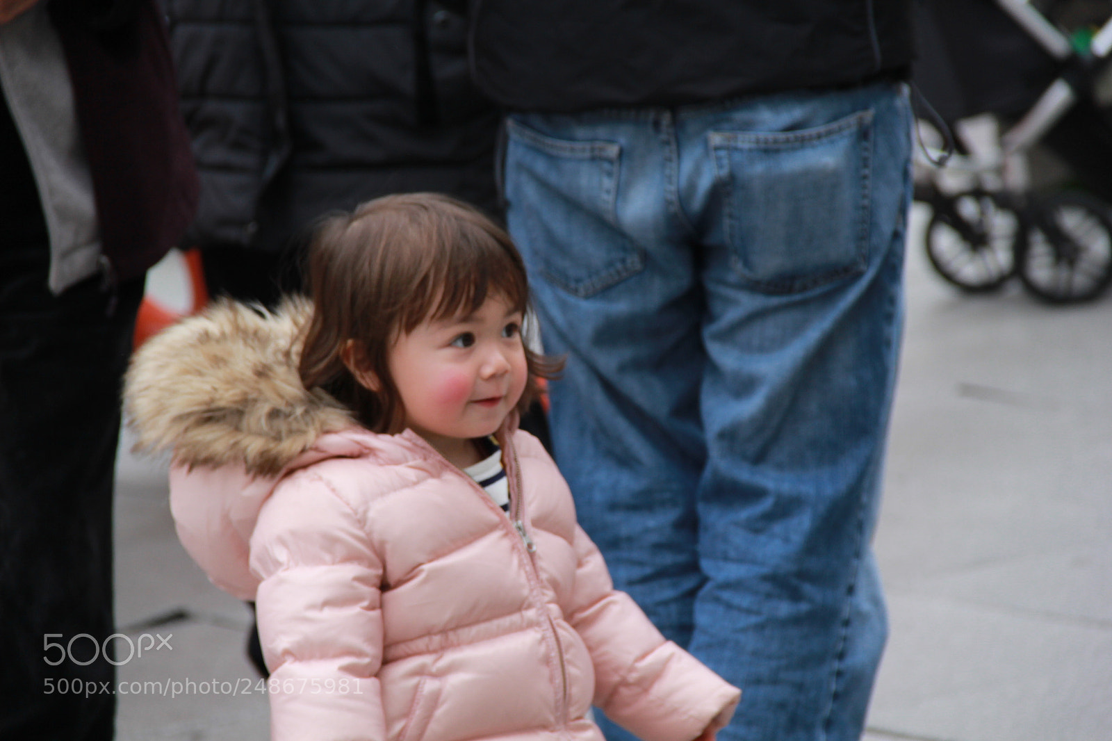 Canon EF-S 18-135mm F3.5-5.6 IS sample photo. Img photography