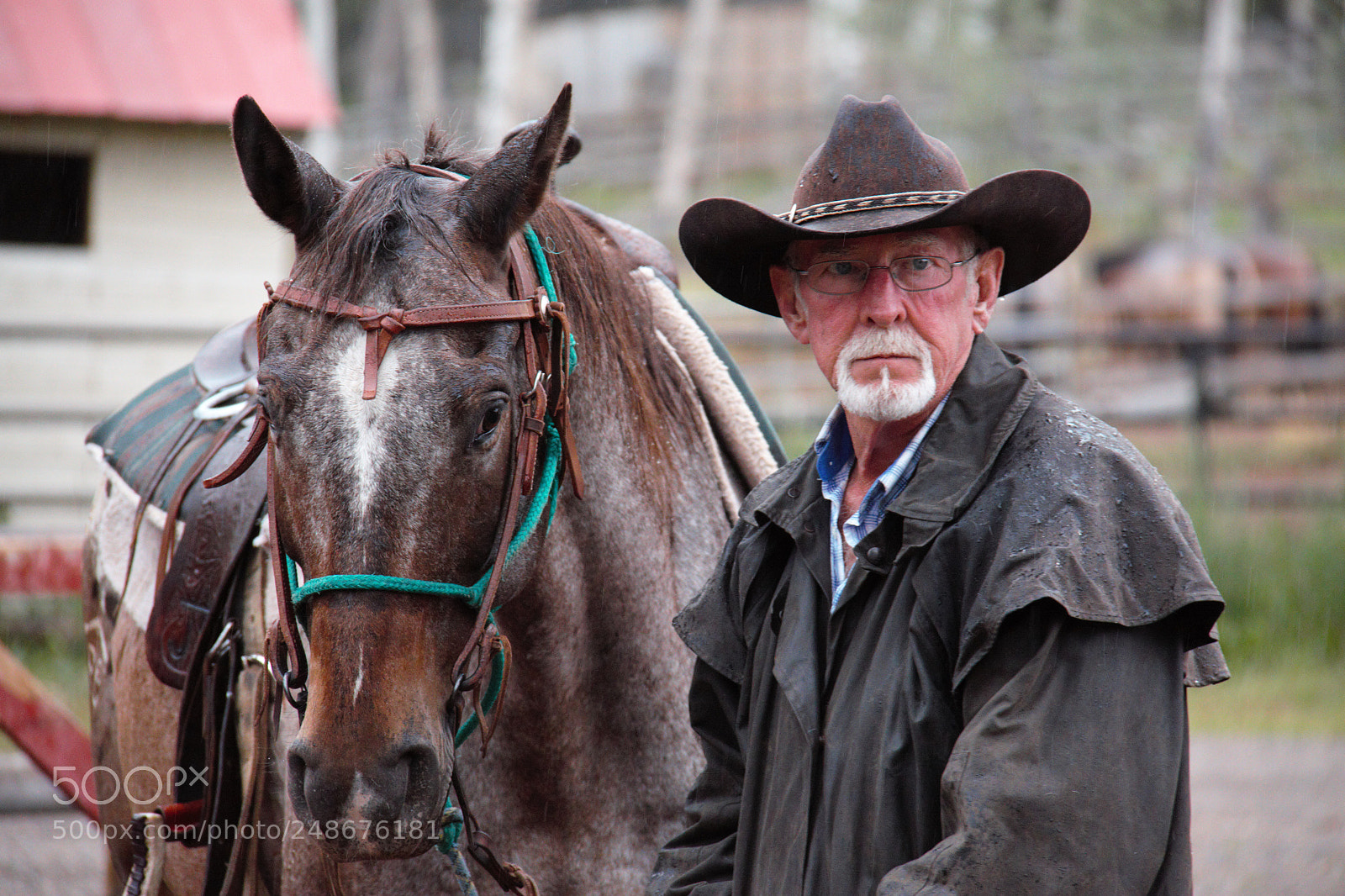 Canon EOS 50D sample photo. Horseman photography