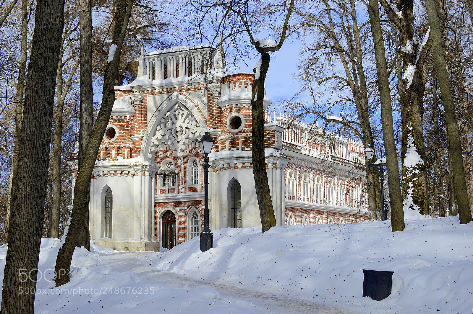 Nikon D3200 + Nikon AF-S DX Nikkor 35mm F1.8G sample photo. восьмое марта photography
