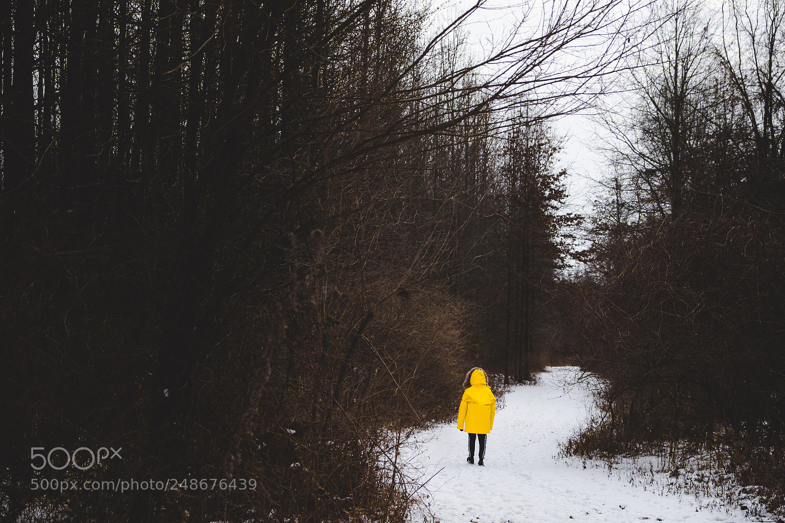 Fujifilm X-T1 sample photo. Follow me to get photography