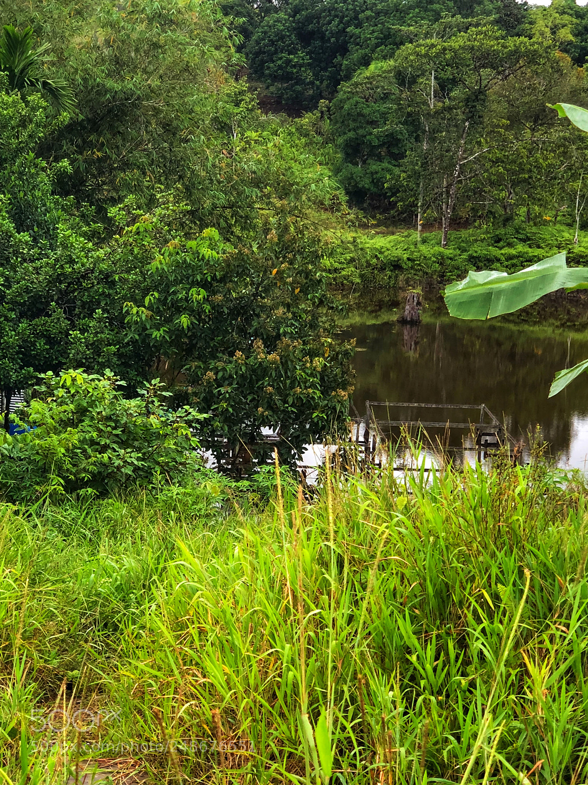 Apple iPhone X sample photo. Nice lil fishing spot photography
