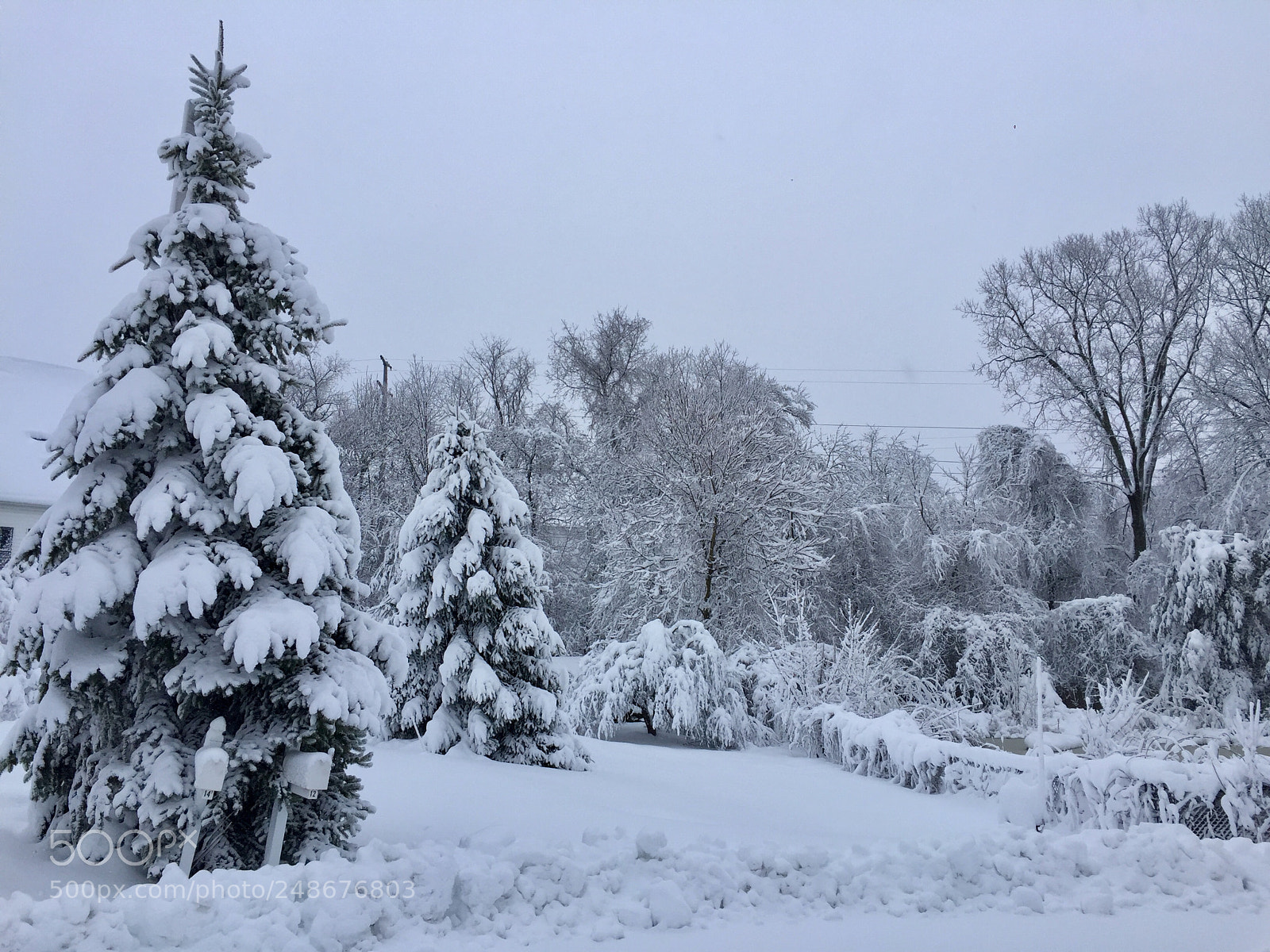 Apple iPhone 6 Plus sample photo. Winter will pass for photography