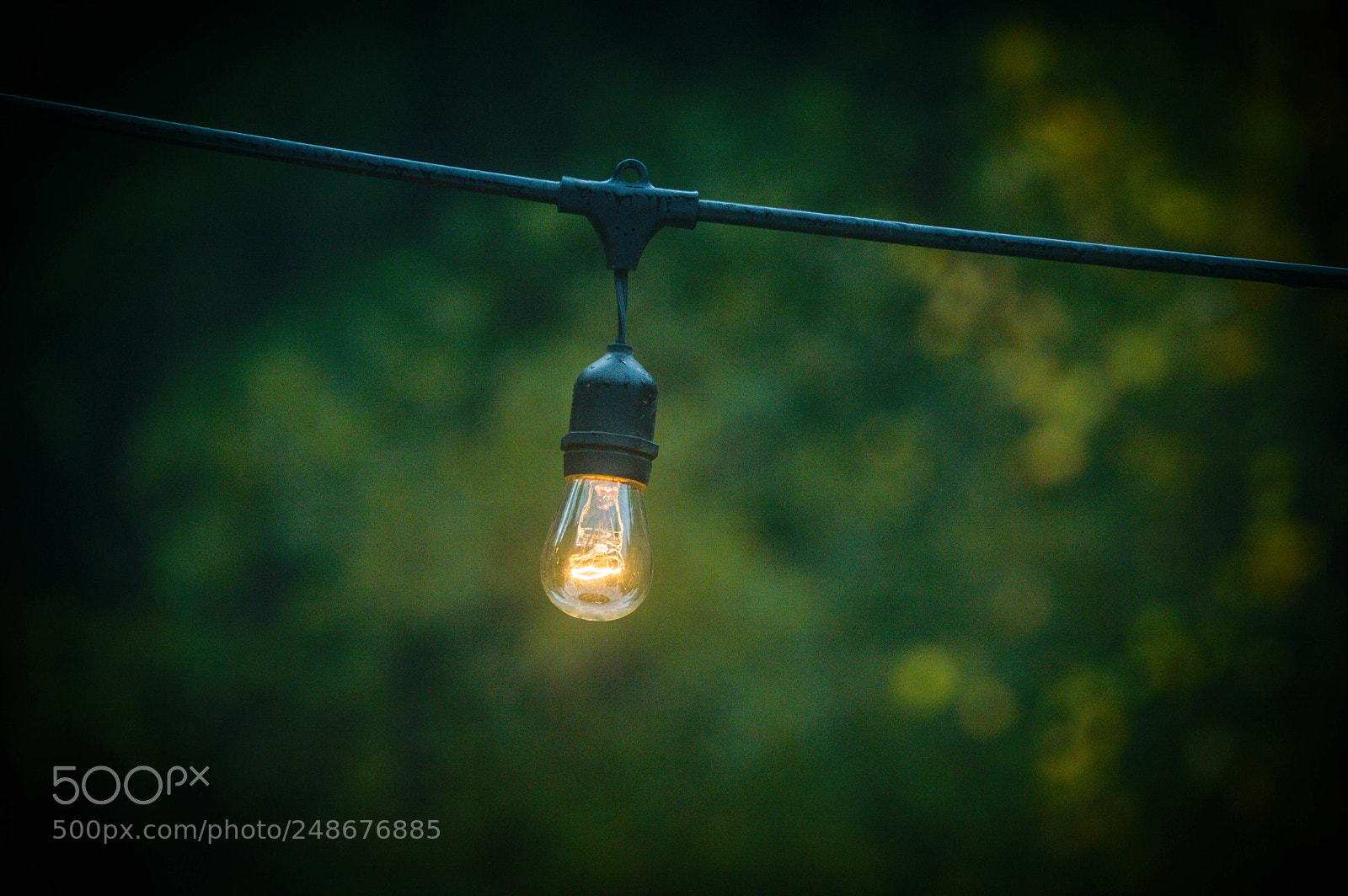 Nikon D3200 sample photo. Brightidea! photography