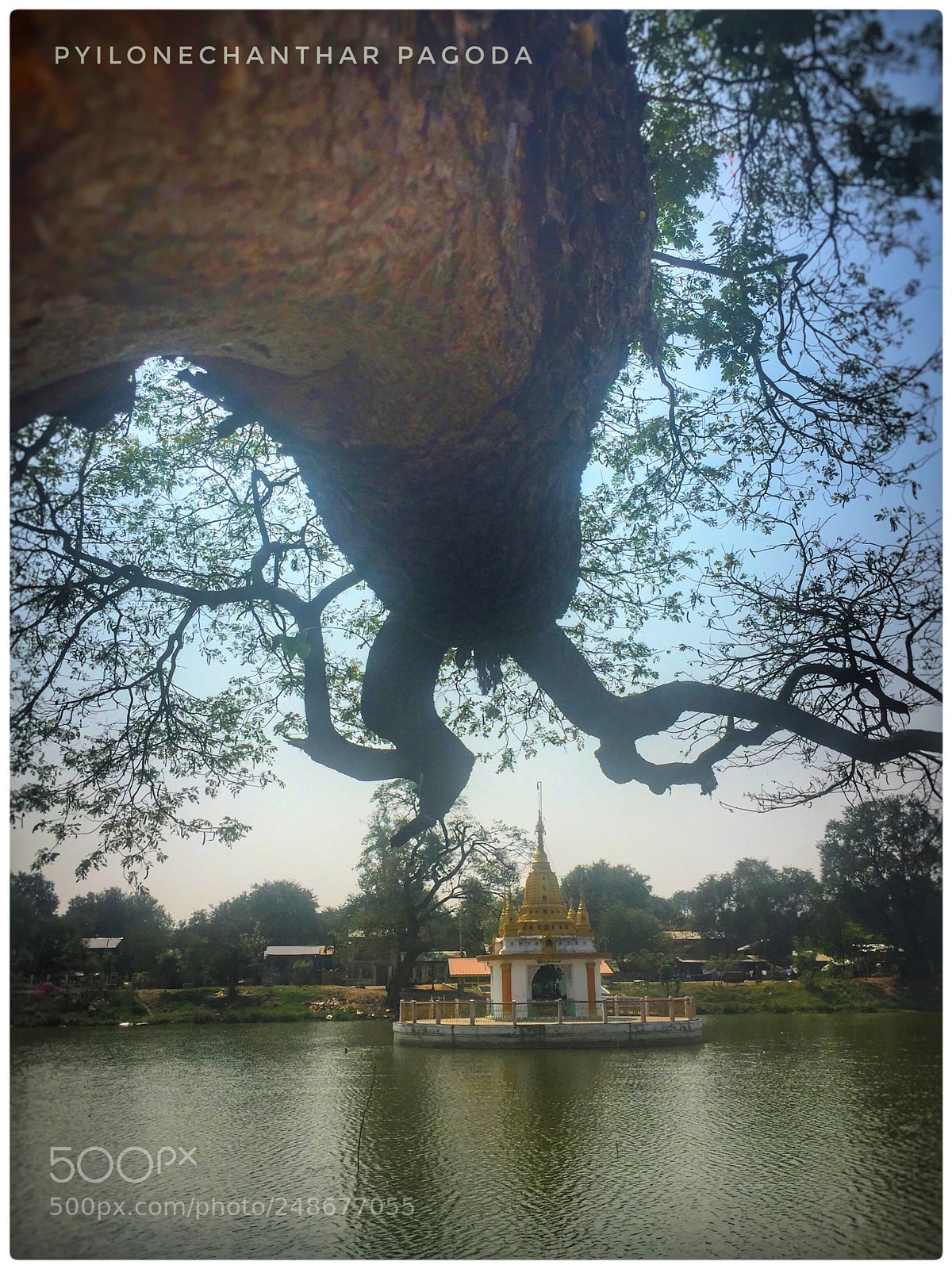 Apple iPhone 6 Plus sample photo. Untitled photography