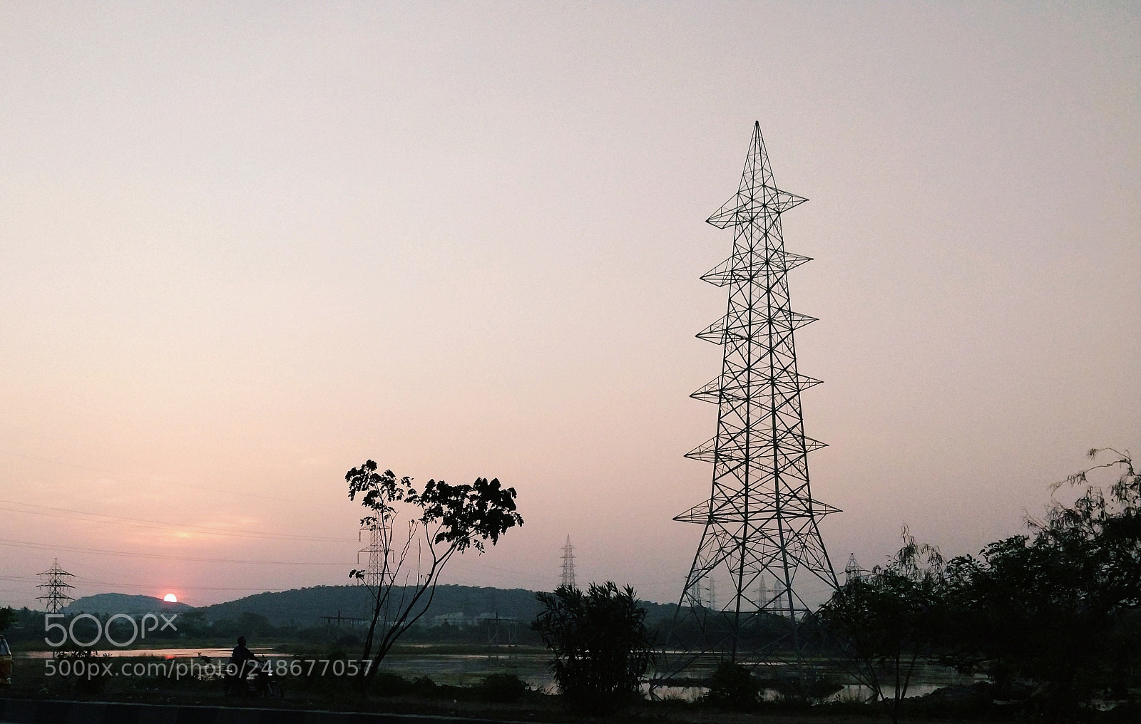 OnePlus 5T sample photo. Purple photography