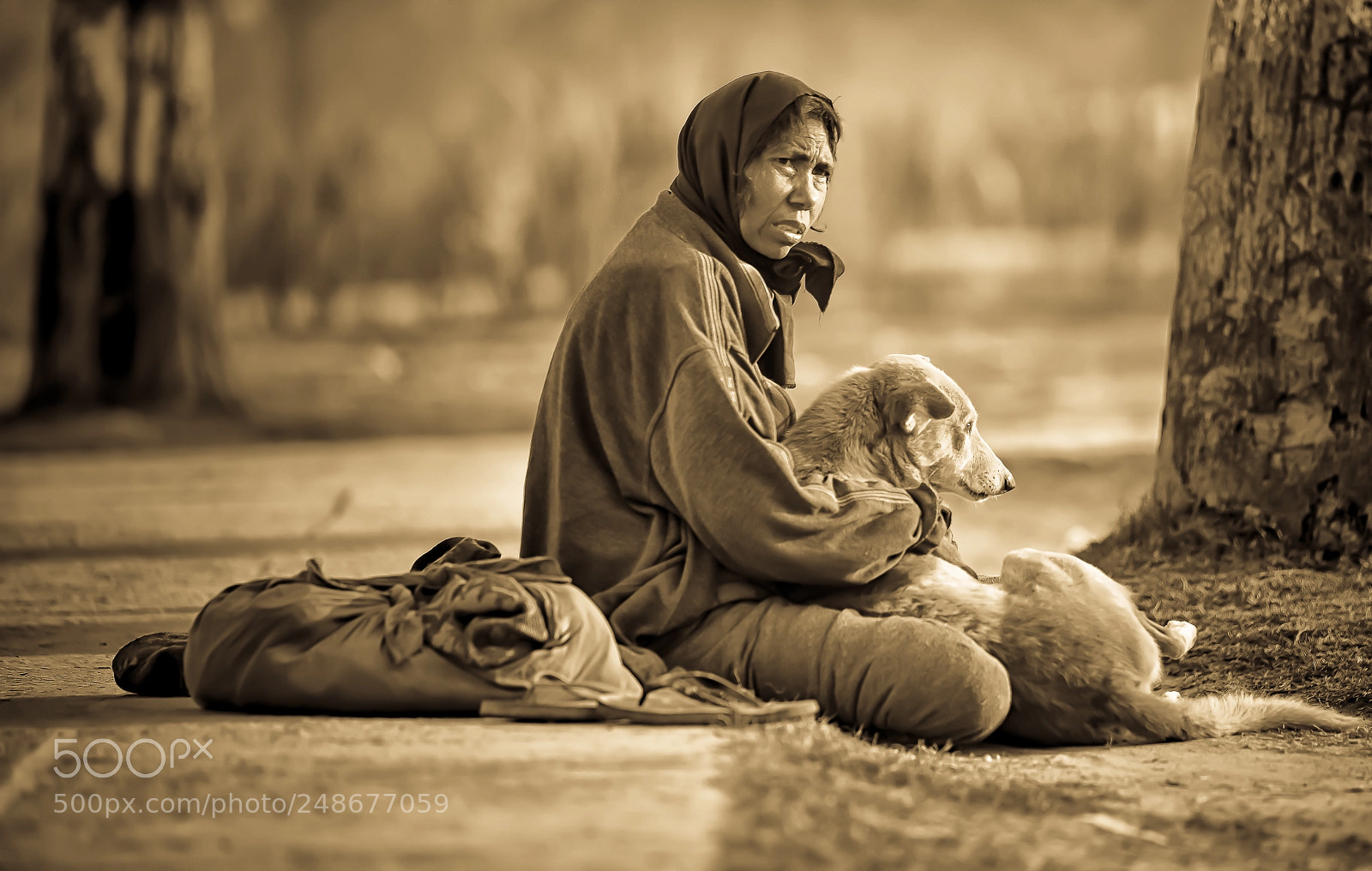 Nikon D600 sample photo. 543-2.jpg photography