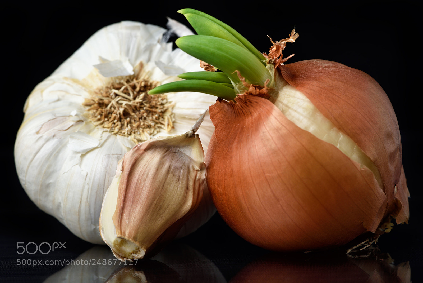 Nikon D810 sample photo. Lovely still life clxx photography