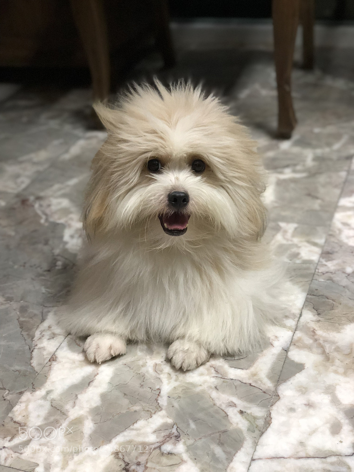 Apple iPhone X sample photo. Untitled photography