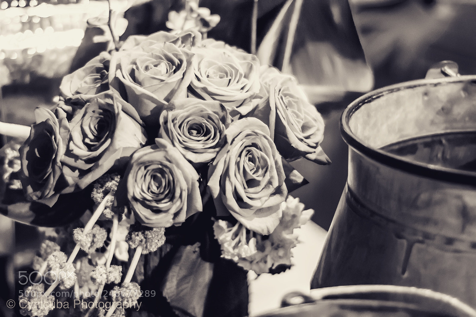 Nikon D5500 sample photo. Roses photography