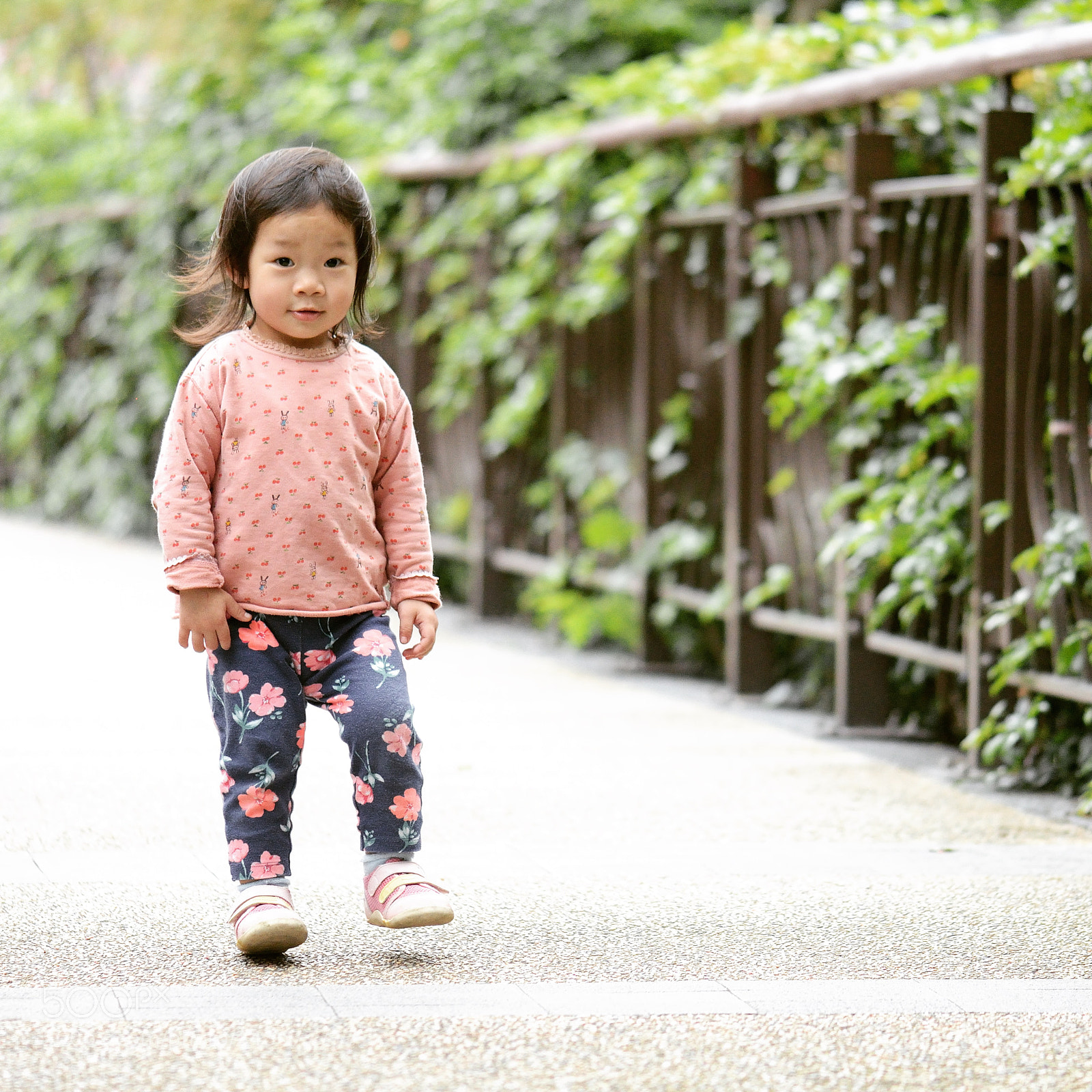 Nikon D800 sample photo. Untitled photography