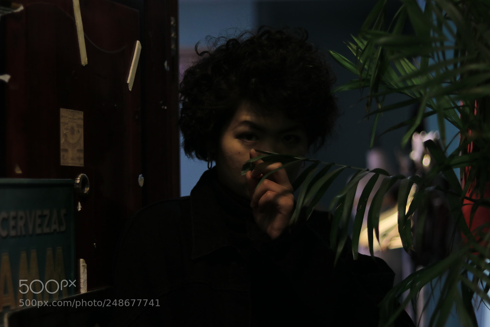 Canon EOS 80D + Canon EF 50mm F1.8 STM sample photo. Untitled photography