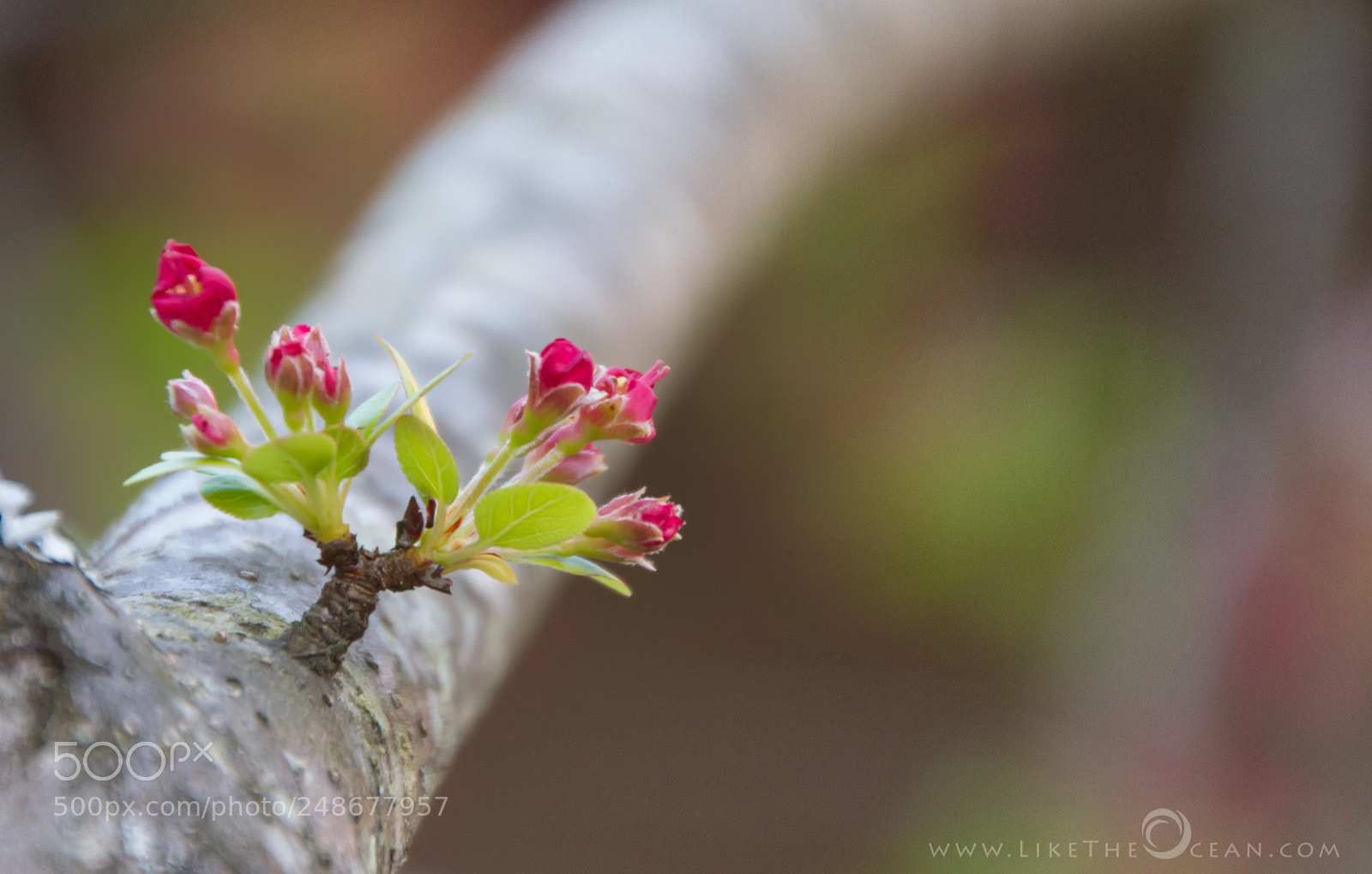 Canon EOS 7D sample photo. Life happens ... photography