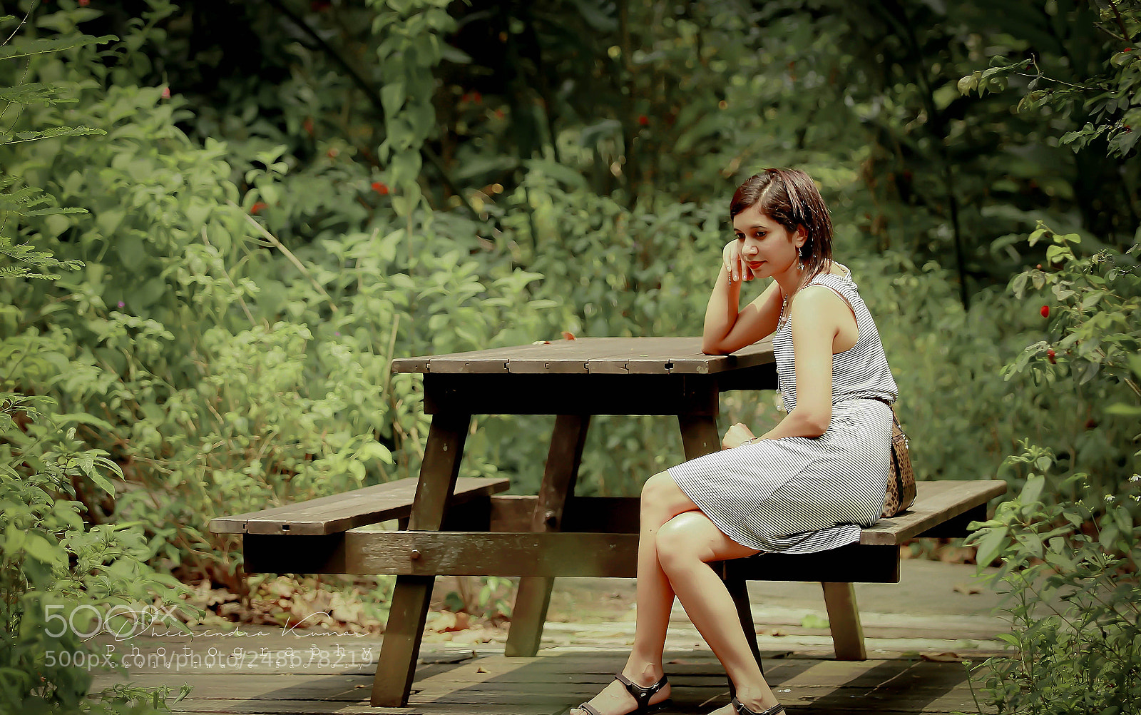 Canon EOS 60D sample photo. Jungle diary!! photography