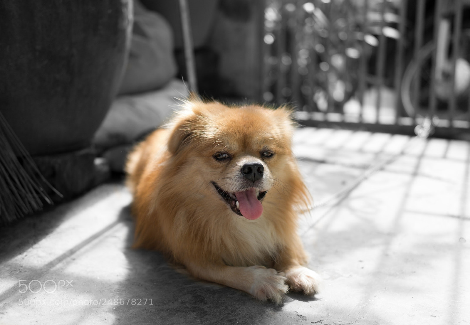 Fujifilm X-E2 sample photo. Untitled photography