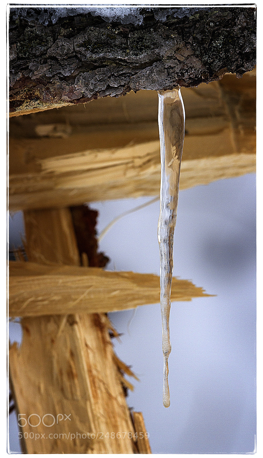 Canon EOS 7D sample photo. Icicle on a broken photography