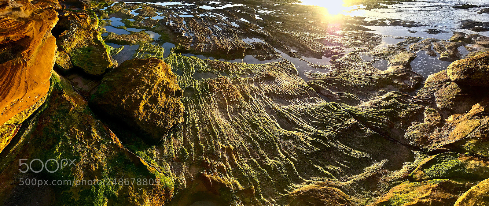 Apple iPhone 6 Plus sample photo. Tidal exposure photography